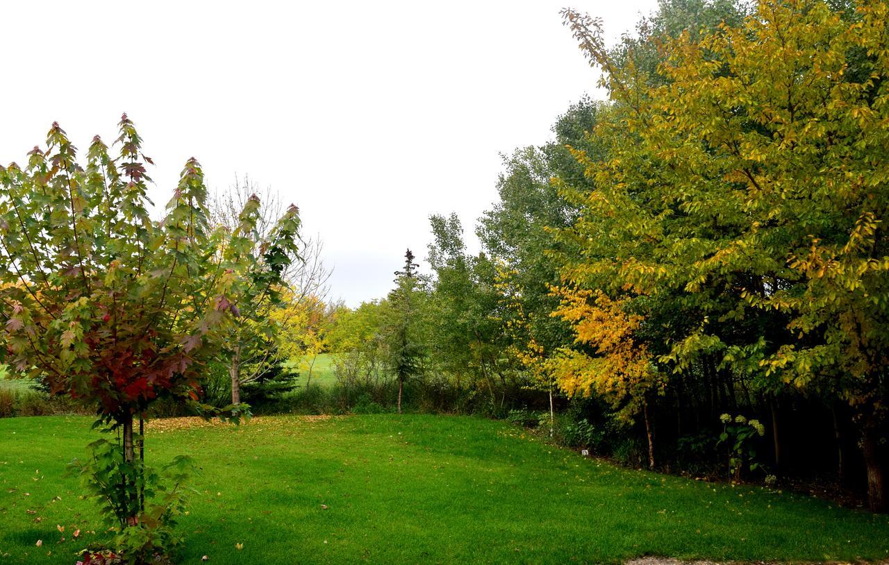South Africa House Guest Lodge Wainwright Экстерьер фото